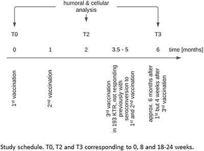 Anti-SARS-CoV-2 Revaccination Success in Kidney Transplant Recipients With No Initial Humoral Response Is Linked to Primary Vaccine Type